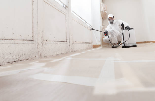 24/7 Emergency Black Mold Removal experts in Franklin, PA