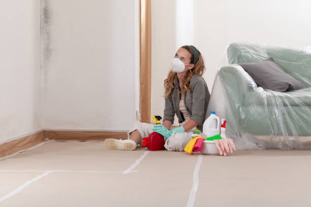 Reliable Black Mold Removal contractor in Franklin, PA by WQB Mold Removal